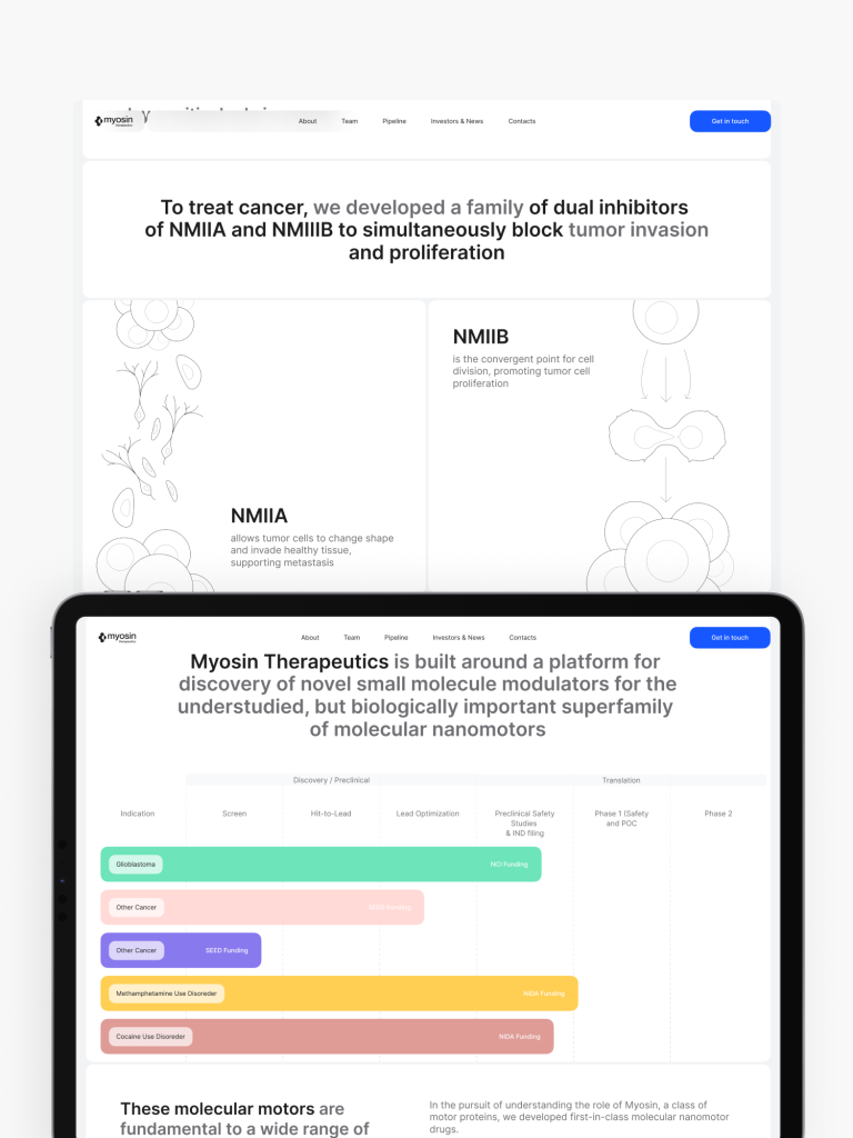 A tablet showcasing a clean web design, featuring a colorful timeline and text about Myosin Therapeutics, set against a clean white background, crafted by a leading website design agency in Red Deer.