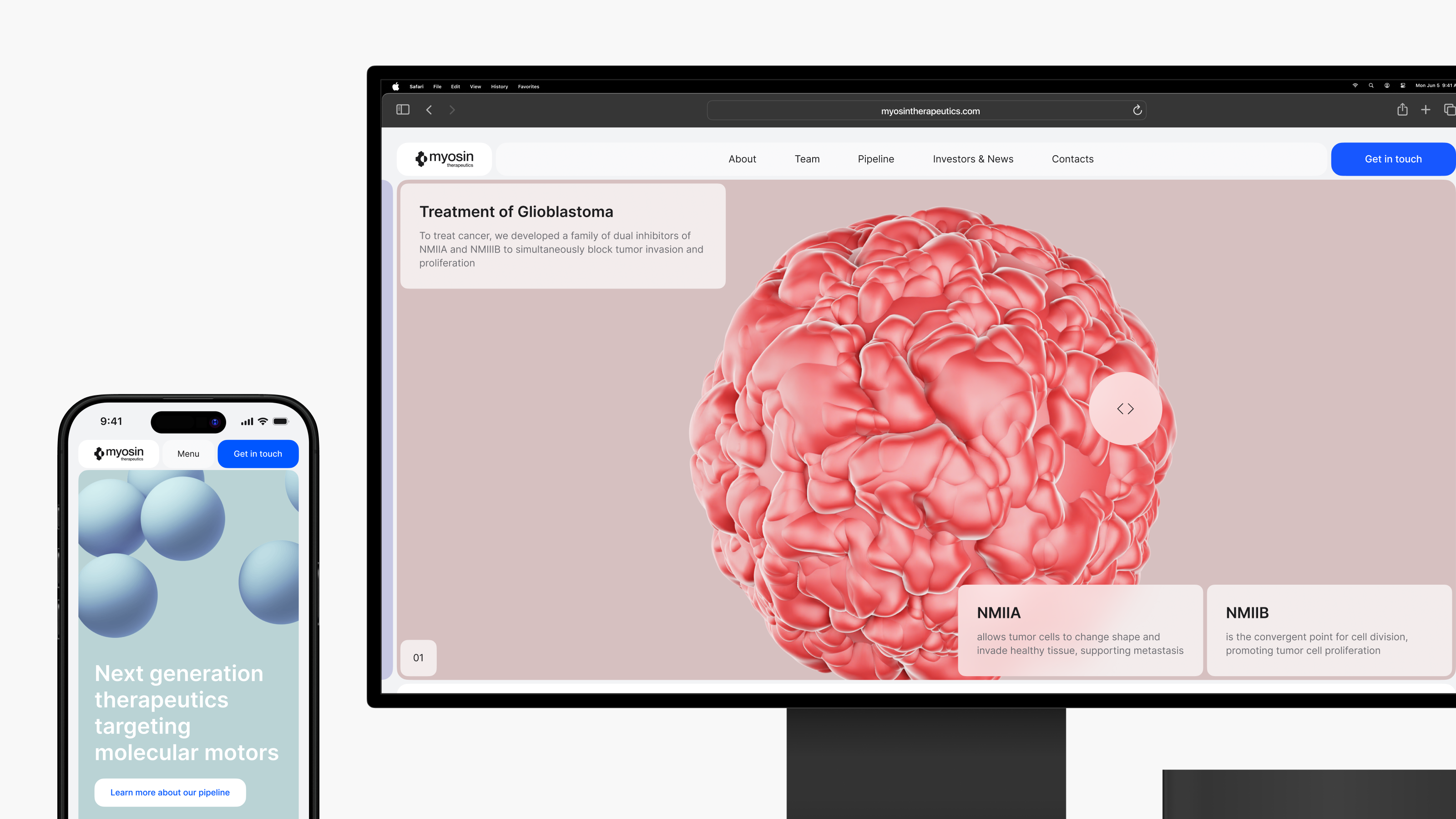 A smartphone and monitor display a glioblastoma treatment website featuring 3D illustrations. The Myosin Therapeutics website was designed by Webgamma, a top website design agency in Edmonton.