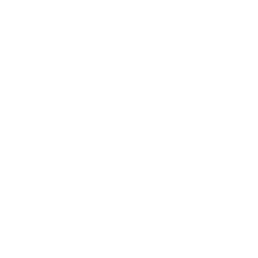 Php WordPress design white icon